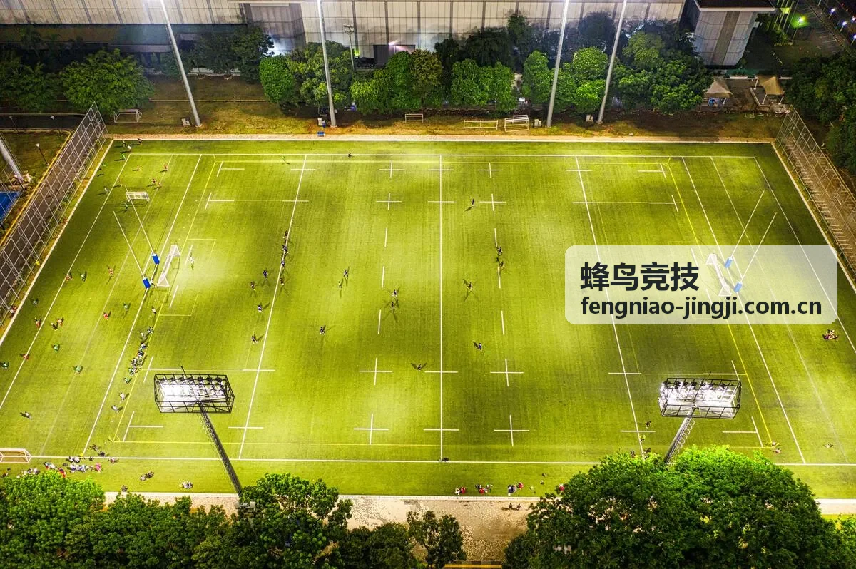 蜂鸟竞技自走棋策略项目